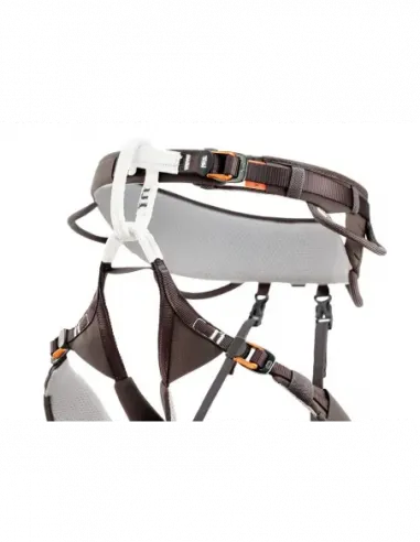Aquila Harness