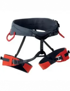 Seat Harness Garnet
