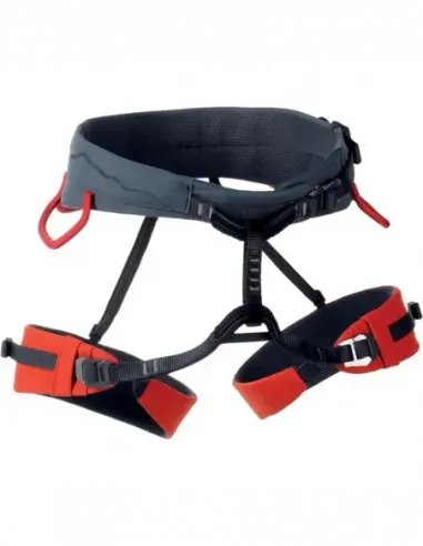 Seat Harness Garnet