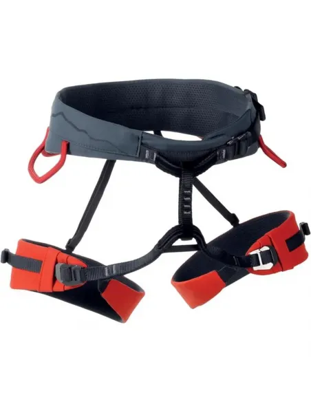 Seat Harness Garnet