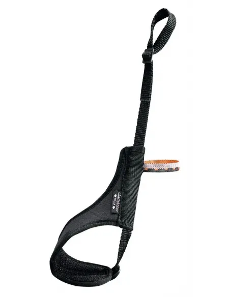 Fixed Leash Freelock