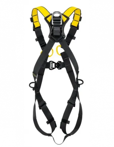 Newton International Version Harness