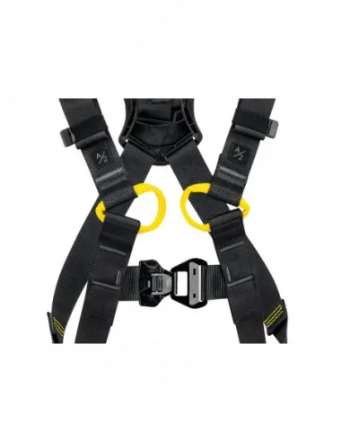 Newton International Version Harness