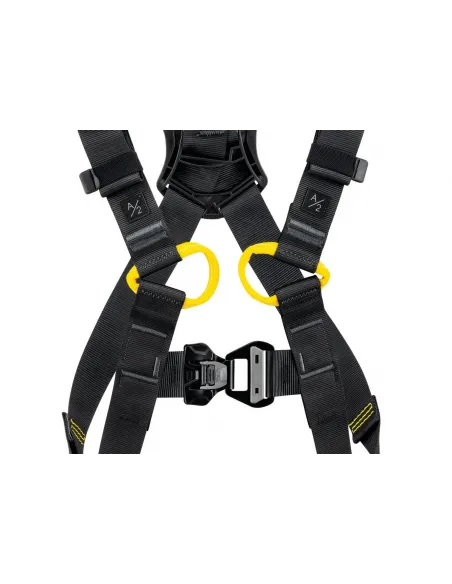 Newton International Version Harness