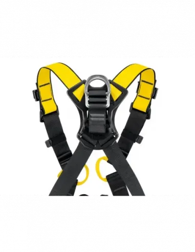 Newton International Version Harness