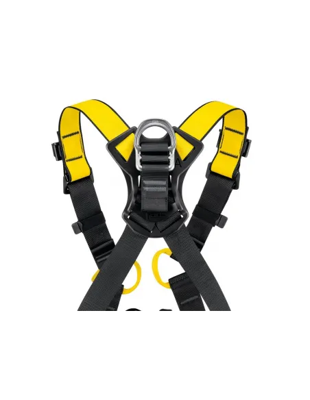 Newton International Version Harness