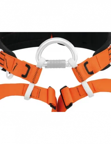 Aven Harness