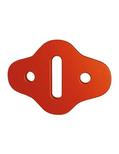 Systeem voor het borgen van de karabiner Pinch