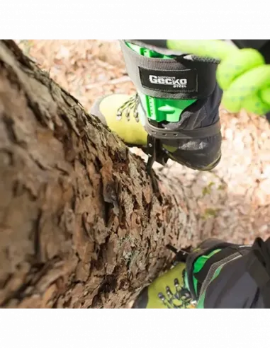 Tree Climbers Gecko Steel