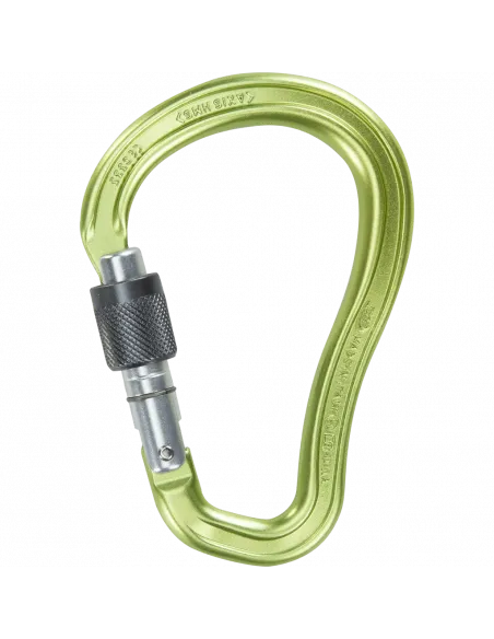 Carabiner Axis HMS SG