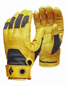 Transition Gloves