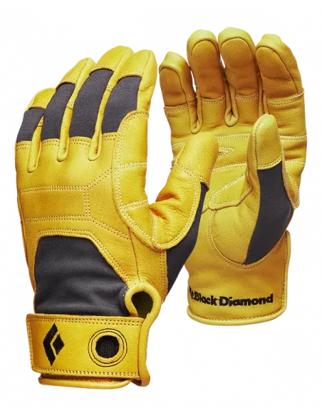 Transition Gloves