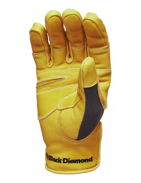 Transition Gloves