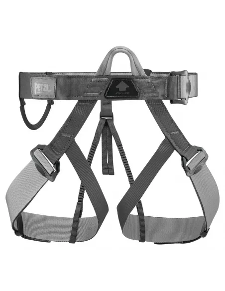 Pandion Black Harness