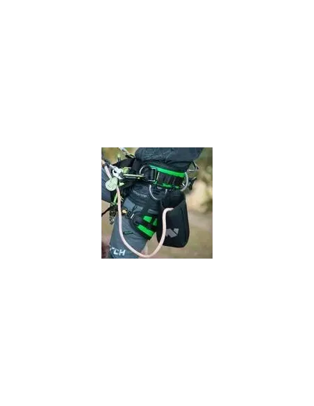 Tas Magnetic Ditty