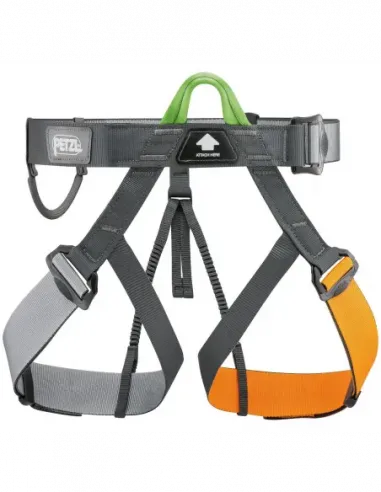 Pandion Harness