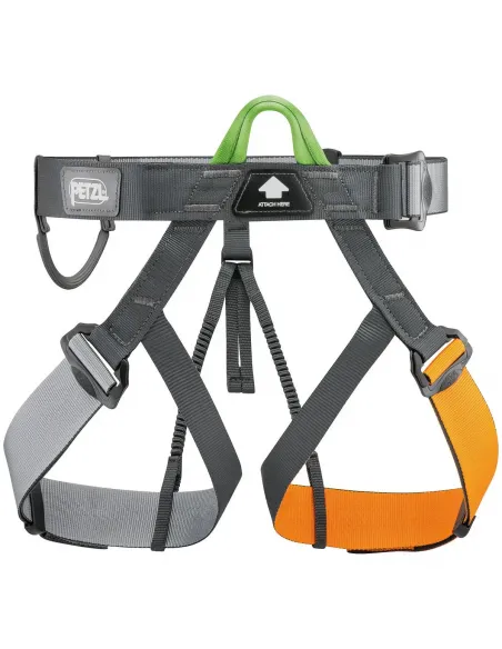 Pandion Harness