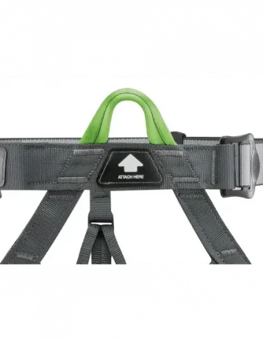 Pandion Harness