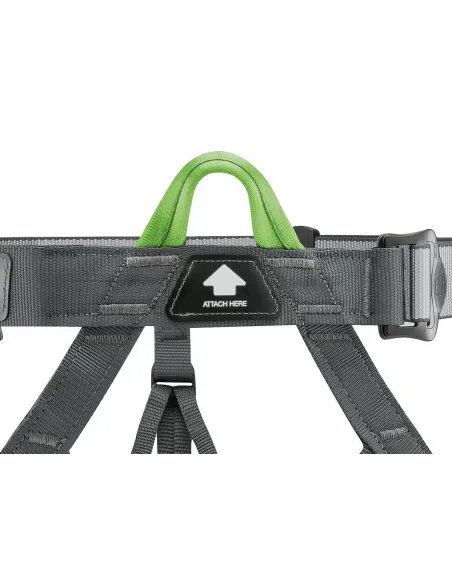 Pandion Harness