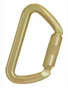 Iron Wizard D Ss Carabiner