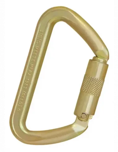 Iron Wizard D Ss Carabiner