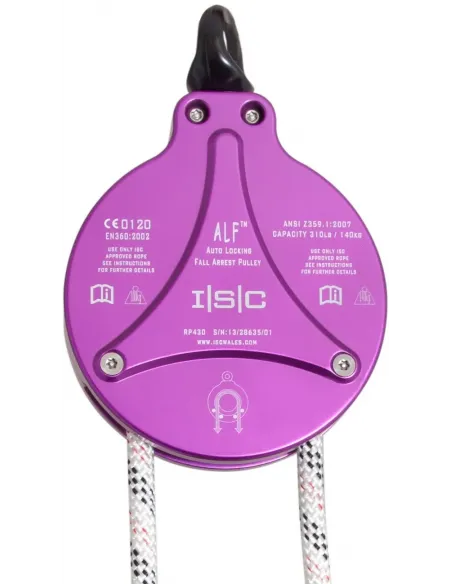 Climb Assist Pulley Alf