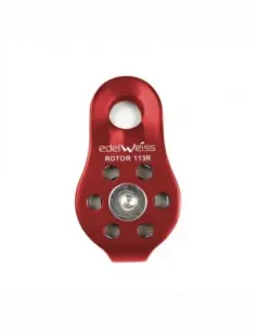 Rotor 113R Pulley